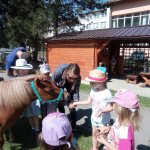 phoca_thumb_m_ponk 93 Fotogalerie